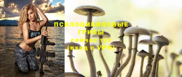 бошки Алексин