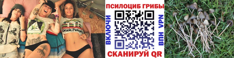 Галлюциногенные грибы мухоморы  гидра зеркало  Новоузенск 